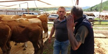 Kurbanlık hayvan pazarlarında sıkı pazarlıklar başladı