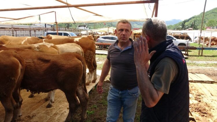 kurban pazari habermeydan
