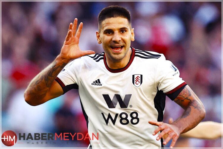 mitrovic 1