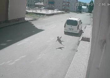 Muş’ta, 2 yaşındaki bebek 7. kattan düşerek hayatını kaybetti!