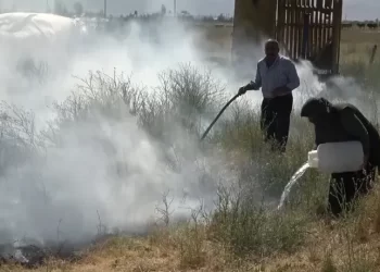 Muş’ta çıkan örtü yangını evlere sıçramadan söndürüldü!