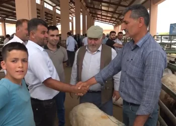 Muş’ta, kurban pazarında hareketlilik arttı!