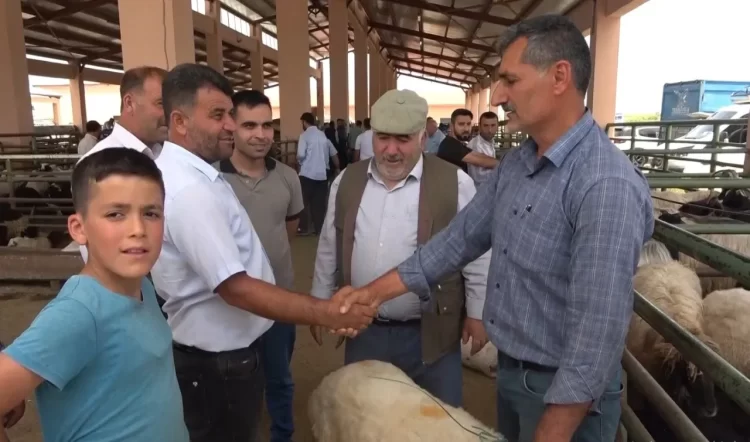 mus ta kurban pazarinda hareketlilik artti habermeydan