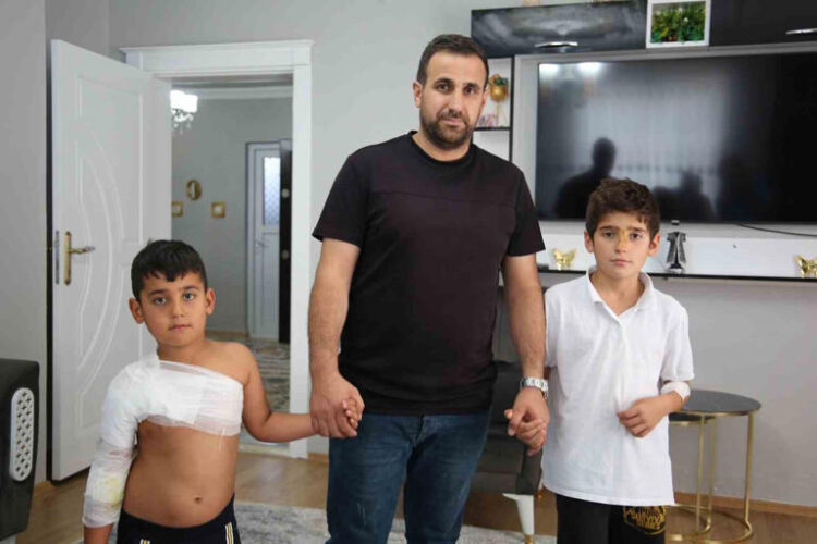 mus ta sahipsiz kopeklerin saldirisinda iki kardes yaralandi habermeydan