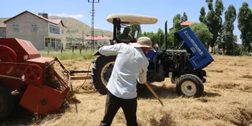 Muşlu Çiftçilerin, aşırı sıcak havada ot biçme mesaisi başladı!