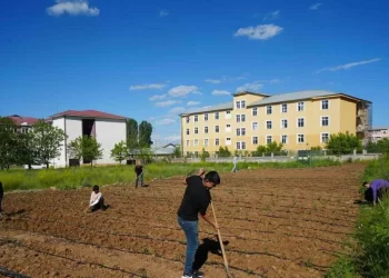 Muşlu öğrenciler kendi tarlalarında sebze fidelerini toprakla buluşturdu!