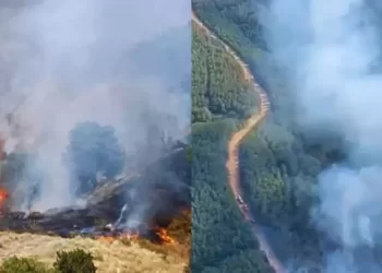 4 ilde orman yangını! Müdahale devam ediyor