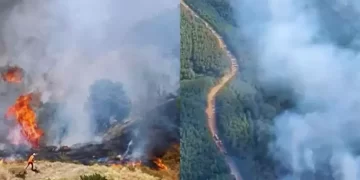 4 ilde orman yangını! Müdahale devam ediyor