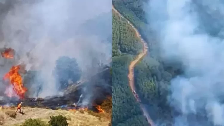 orman yanginlari habermeydan