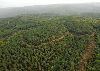 Ormanlara giriş 43 ilde yasaklandı