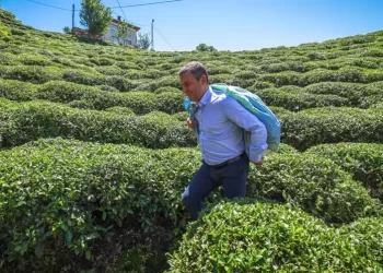 CHP lideri Özel’den Rize’de paylaşım