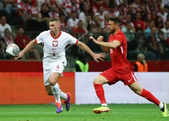 Polonya 2-1 Türkiye