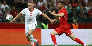 Polonya 2-1 Türkiye