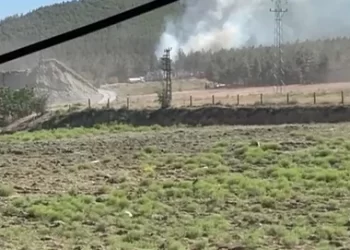 Sinop’ta korkutan orman yangını!