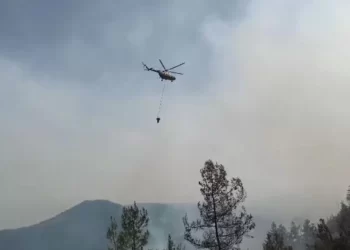 Sinop’ta, ormanlık alanda yangın çıktı!