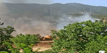 Sinop’ta, tarım arazisinde yangın çıktı!