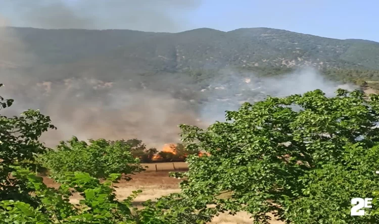 sinop ta tarim arazisinde yangin cikti habermeydan