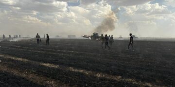 Şırnak’ta, yıldırımlar 360 dönüm buğday tarlasını küle çevirdi!