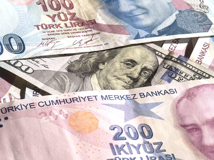 tl deger kaybi habermeydan