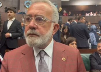 AK Parti’li Yenişehirlioğlu’ndan sahipsiz hayvanlar hakkında açıklama