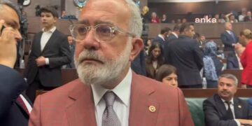 AK Parti’li Yenişehirlioğlu’ndan sahipsiz hayvanlar hakkında açıklama