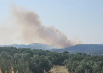 Antalya’daki orman yangını söndürüldü