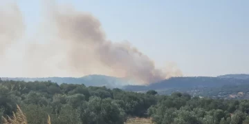 Antalya’daki orman yangını söndürüldü