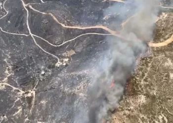 Çeşme’de orman yangını: 3 kişi hayatını kaybetti