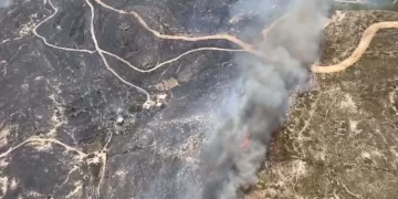 Çeşme’de orman yangını: 3 kişi hayatını kaybetti