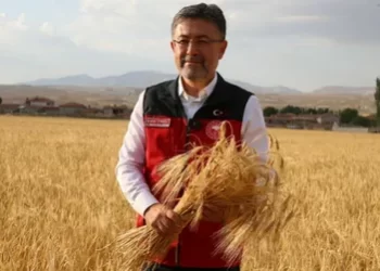 Bakan Yumaklı: Hasadı yapılan tohum çeşidimiz çiftçilerden tam not aldı