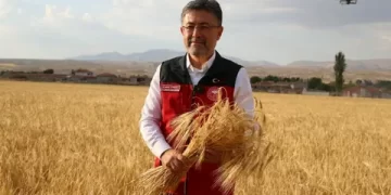 Bakan Yumaklı: Hasadı yapılan tohum çeşidimiz çiftçilerden tam not aldı