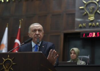 Cumhurbaşkanı Erdoğan: Hayvanlar konusunda kimse bize merhamet dersi vermeye kalkışmasın