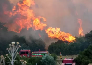 İzmir’deki yangın yerleşim yerlerine sıçradı!