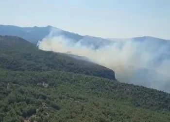 Muğla’da orman yangını