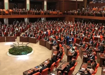 Sokak hayvanları düzenlemesi: Kanun teklifinin ilk 5 maddesi kabul edildi