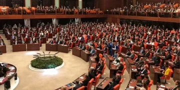 Sokak hayvanları düzenlemesi: Kanun teklifinin ilk 5 maddesi kabul edildi