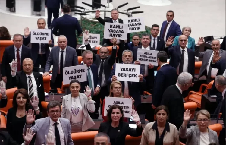 Sokak hayvanlari duzenlemesi Meclisten gecerek yasalasti habermeydan