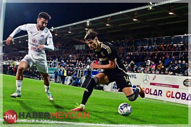 birmancevic 1