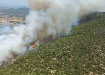 Bodrum’da orman yangını kontrol altına alınmaya çalışılıyor