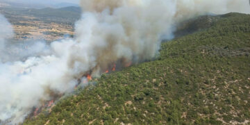 Bodrum’da orman yangını kontrol altına alınmaya çalışılıyor
