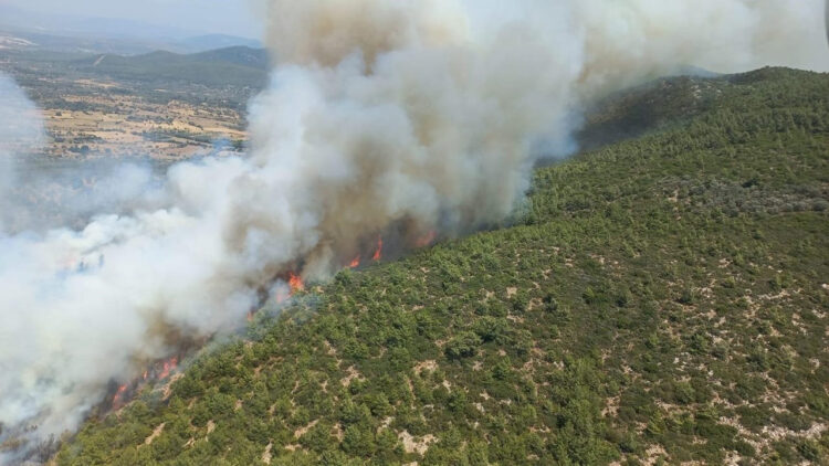 bodrum yangin habermeydan