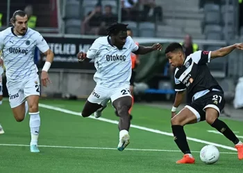 Lugano 3-4 Fenerbahçe