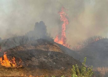 Manisa’da orman yangını! Müdahale devam ediyor