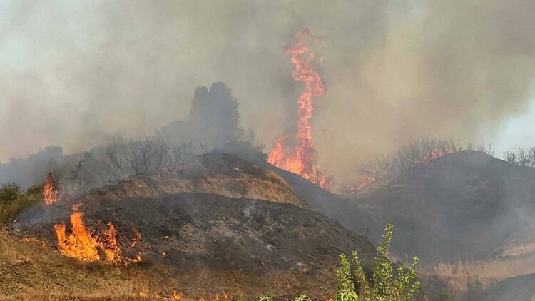 manisa da orman yangini habermeydan