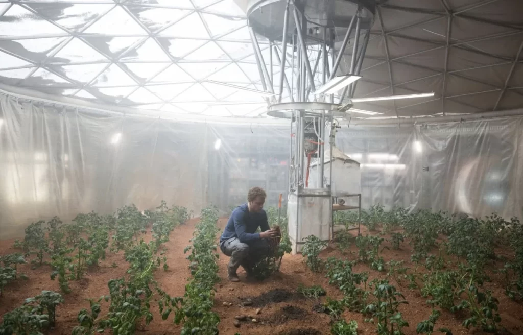 Bilim insanları Mars'ta hayatta kalabilecek bir bitki keşfetti mars bitki habermeydan