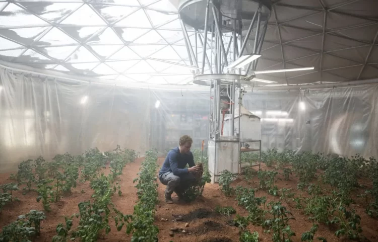 mars bitki habermeydan