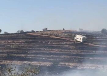 Muş’ta çıkan örtü yangını korkuttu!