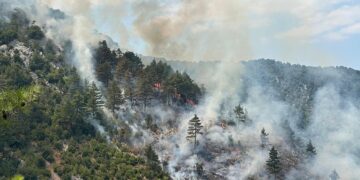 Adana’da orman yangını! Müdahale devam ediyor