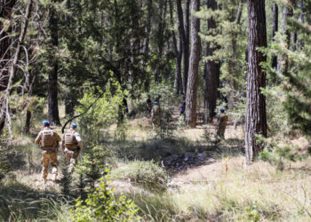 Antalya’da orman yangınlarına karşı Jandarma Komandoları sahaya indi