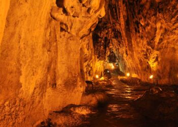 Sinop’ta, 75 milyon yıllık gizem!